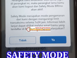 Apa Itu Safety Mode BRImo? Begini Cara Menonaktifkan Safety Mode!