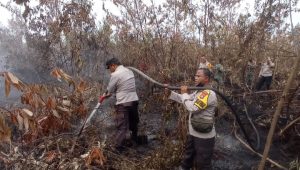 Polsek Tambang Ikuti Giat Pendinginan Bekas Kebakaran Lahan di Wilkumnya.