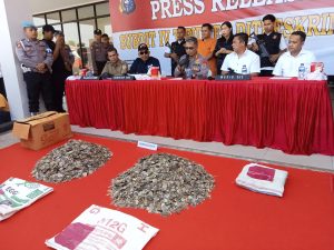 Polda Riau Mengadakan Konferensi Pers Subdit IV Tipider Ditreskrimsus Polda Riau Pengungkapan kasus Hewan Yang di Lindungi