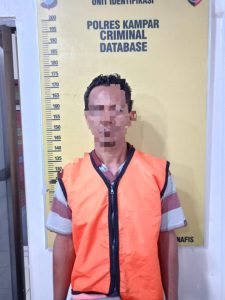 Polsek Tambang Tangkap Pelaku Pembakaran Karhutla di Desa Kualu Nenas