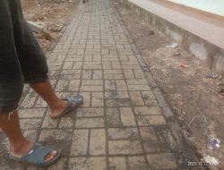 Proyek Pembangunan pavingblock didesa Pasir Gombong, diduga belum cukup umur sudah dipasang.