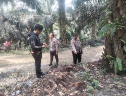 Polsek Siak Hulu Olah TKP Kasus Pembunuhan di Kebun Sawit