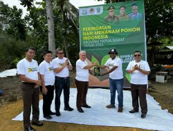 Kepala Kejaksaan Tinggi Papua Barat melakukan penanaman bibit pohon bakau jenis mangrove