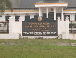 Usut Tuntas Dugaan Penanaman Akasia Dengan Jumlah Surat 271 Persil dan Total Lahan 618 Hektar tanah