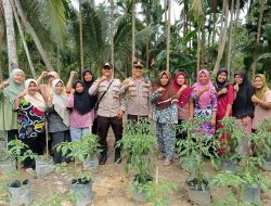Kapolsek Kempas IPTU Mardani Tohenes Giat Cooling System Sambangi Kelompok Wanita Tani (KWT) Desa Rumbai Jaya.