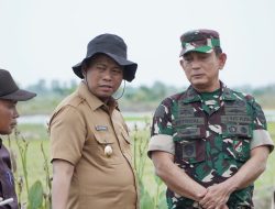 H. Sulaiman Wabup Rohil Mendampingi Kasdam l Bukit Barisan Tinjau Lokasi Lahan Ketahanan Pangan di Pekaitan