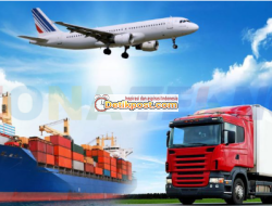 PT Big Link Logistics Indonesia Apakah Penipuan Loker? Hati-hati