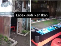 Lapor Pak Kapolda : Judi Tembak Ikan Tumbuh Subur di Wilayah Hukum Polres Pelabuhan Belawan