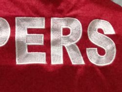 Menjunjung Tinggi UU Pers, DPP AMI Segera Laporkan Teva Iris ke Mapolda Riau