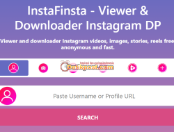 Instafinsta. Com Private Account, Ini Cara Mengunakannya!