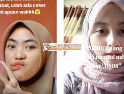 Arti Cewek Ceker Osos Viral TikTok Itu Apa? Ini Artinya!