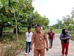 DLH Rohil Jadikan Jembatan Pedamaran l Sebagai RTH dan Tujuan Wisata Alternatif Bagi Masyarakat