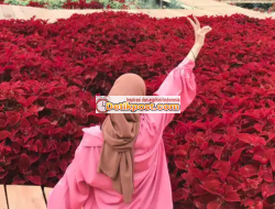 Video Maretha Ayu Angel Lestari Mahasiswa Unja Jambi Viral