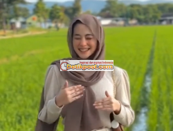 Tobrut Baik Artinya Apa ? ini Arti Tobrut Baik dan Jahat!