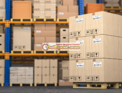 PT Multiguna Araya Logistindo Penipuan atau Bukan? Review Terbaru!