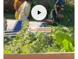 Video 3 Bocil Viral di Kuburan Full 41 Detik, Link Mulai Dicari Netizen