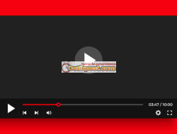 Bit ly Video Asli 81 Viral Twitter Tiktok Full Album