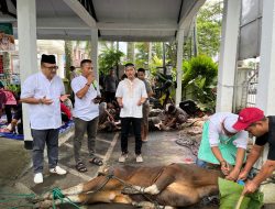 Wakil Kepala Kejaksaan Tinggi Maluku Dr. Jefferdian, S.H., M.H Melaksanakan Pemotongan dan Penyerahan Daging Qurban