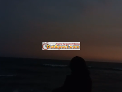 Arti 530.224 Dalam Bahasa Gaul, Ternyata ini Artinya