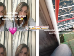 Link Video Viral Opa Kota Ambon Terbaru Full 6 Menit 50 Detik Diduga Disebar Oleh Netizen