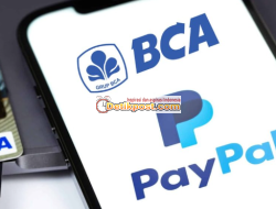 Belanja Online Produk Luar Negeri Aman Menggunakan PayPal