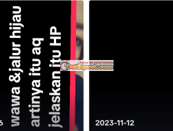 Link Wawa Viral di TikTok Twitter, Artinya Apa? Cek Disini