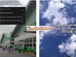 Video PT SMJ Brebes Viral 6 Menit 48 Detik Apakah Karyawan Asli? Cek Disini