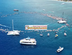 Paddle Out Ceremony Artinya? Arti dan Penjelasan Lengkap