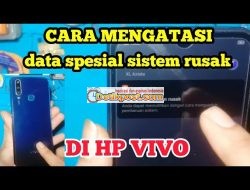 2 Cara Mengatasi Data Spasial Sistem Rusak Vivo Y12, Y91 dll
