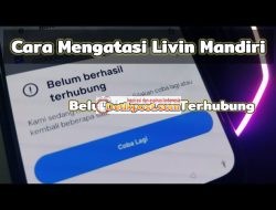 6 Cara Mengatasi Livin Mandiri Belum Berhasil Terhubung Error