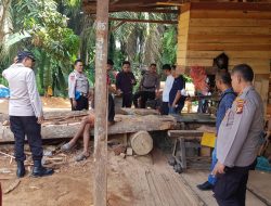 Empat TKP Diamankan Polsek Siak Hulu Terkait Ilegal Logging