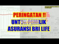 BRI Life Penipuan atau Bukan? Review Pengalaman Nasabah