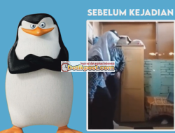 Video Pasha Pratiwi Toiti Viral Full 5.48 Menit, Link Menjadi Sorotan Netizen