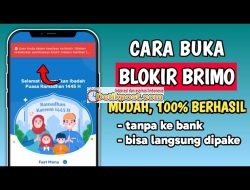 8 Cara Mengatasi Layanan BRImo Terblokir 100% Berhasil