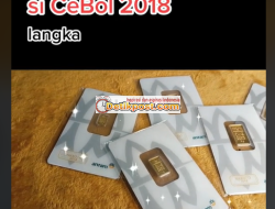 Emas Cebol Artinya Adalah? Penjelasan Lengkap Antam Certybol