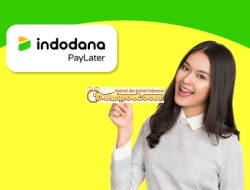 5 Cara Bayar Tagihan Indodana Lewat Livin’ Mandiri Terbaru