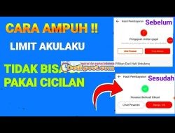 4 Cara Mengatasi Limit PayLater Akulaku Tidak Bisa Digunakan Cicilan