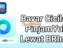 3 Cara Bayar Pinjam Yuk Lewat BRImo, ATM BRI, dan BRILink Terbaru