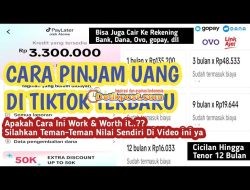 8 Cara Pinjam Uang di TikTok PayLater Langsung Cair