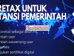 Cara Login Akun PIC, Tambah User, Wewenang User, Impersonate di Coretax