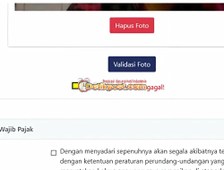 6 Cara Mengatasi Validasi Foto Gagal di Coretax Terbaru