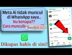 Kenapa Meta AI Tidak Bisa Digunakan? Ini Solusinya!