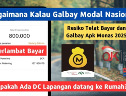 Modal Nasional Apakah Ada DC Lapangan? Ini Pengalaman Galbay Terbaru