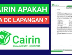 Cairin Apakah Ada DC Lapangan? Ini Pengalaman Galbay dan Resikonya!