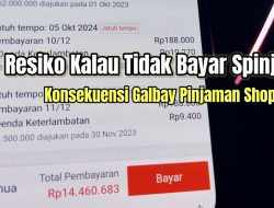 Apakah SPinjam Ada DC Lapangan? Pengalaman dan Resiko Galbay Terbaru