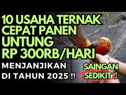 10 Usaha Ternak yang Cepat Panen, Minim Kompetitor dan Untung Besar!