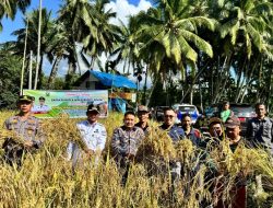 “Basawah Pokok Murah”, Inovasi Bupati Solok Firman Pandu-Candra Untuk Petani Solok Lebih Sejahtera dan Mandiri