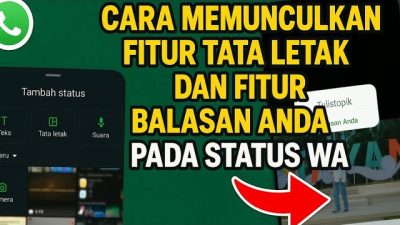 Cara Memunculkan Fitur Tata Letak dan Balasan Pada Status WhatsApp