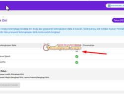 Solusi Biodata Diri Belum Ceklis Hijau di PPG Bagi Guru Tertentu Tahap 2