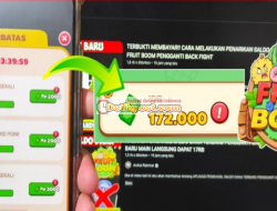 6 Cara Mendapatkan Uang Di Fruit Boom Apk Tanpa Nuyul Langsung Cair